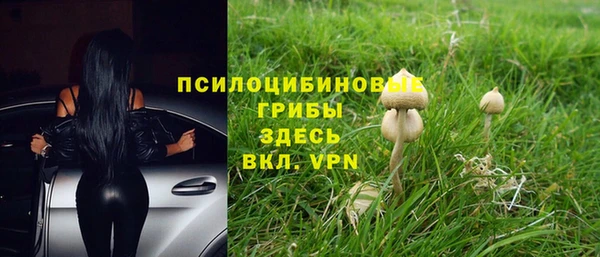 синтетический гашиш Осташков