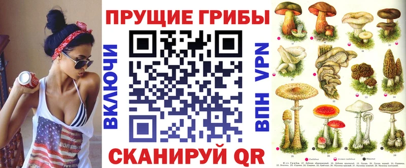 Галлюциногенные грибы Psilocybe  гидра ТОР  Агрыз 